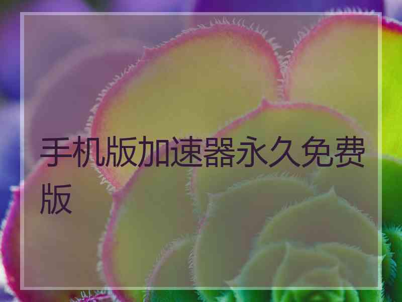 手机版加速器永久免费版
