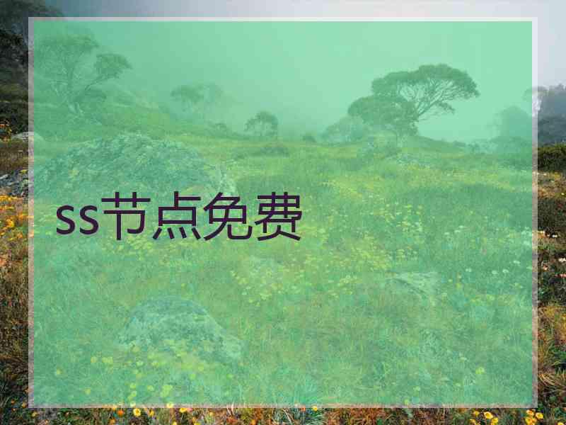 ss节点免费