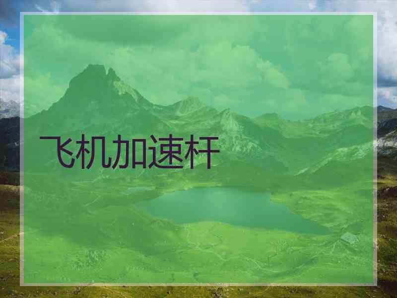 飞机加速杆