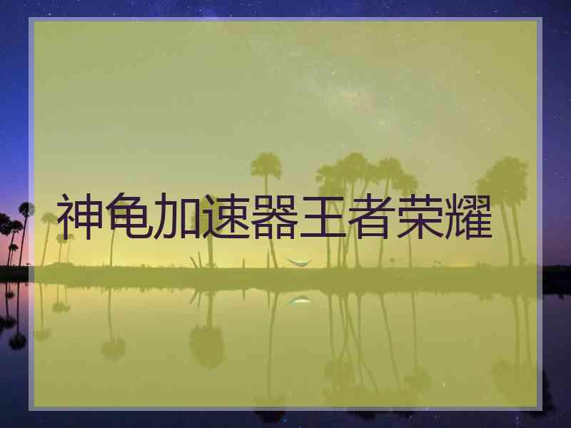神龟加速器王者荣耀