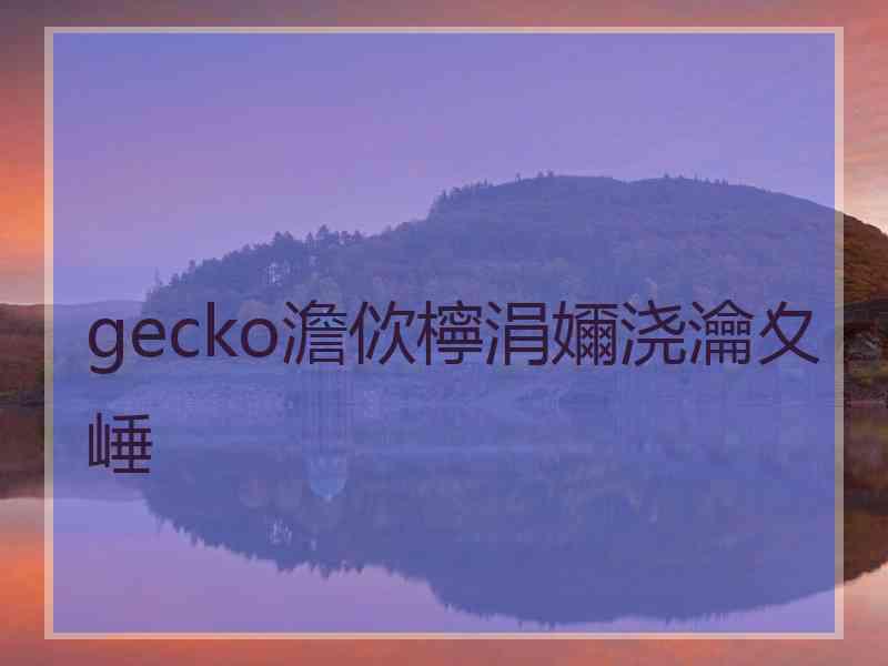 gecko澹佽檸涓嬭浇瀹夊崜