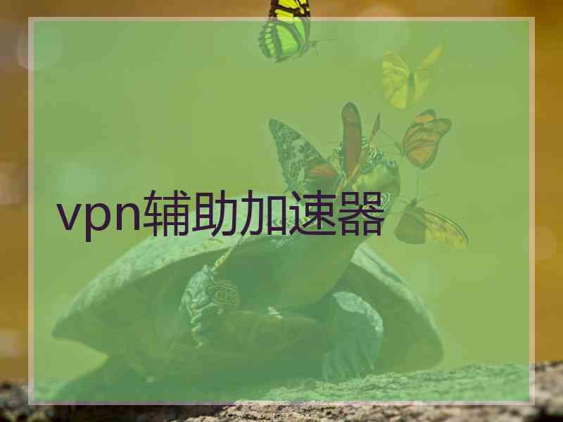 vpn辅助加速器