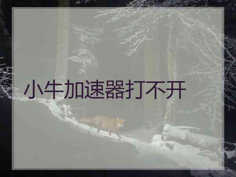 小牛加速器打不开