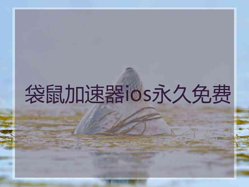 袋鼠加速器ios永久免费