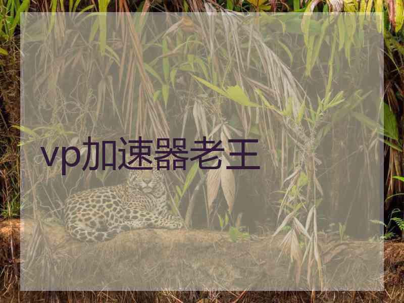 vp加速器老王