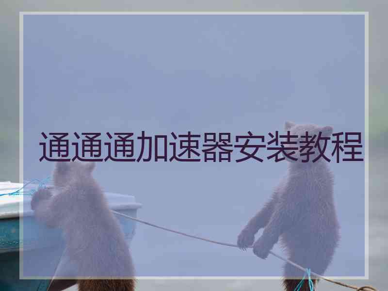 通通通加速器安装教程