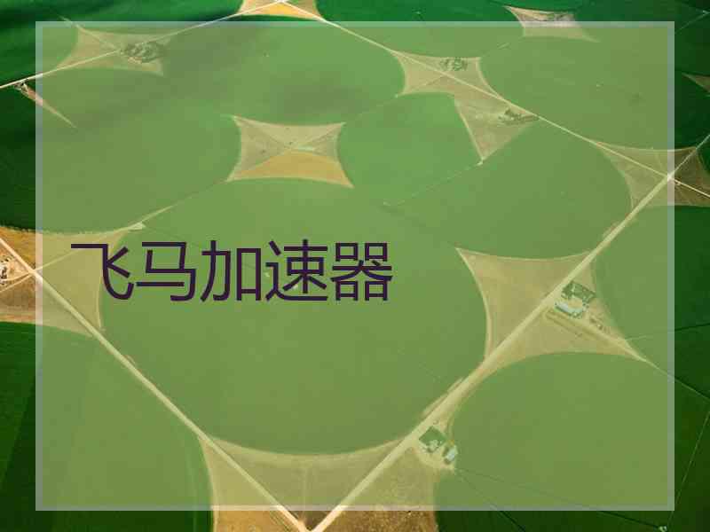 飞马加速器