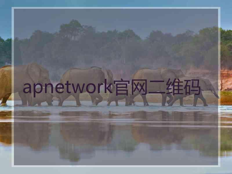 apnetwork官网二维码