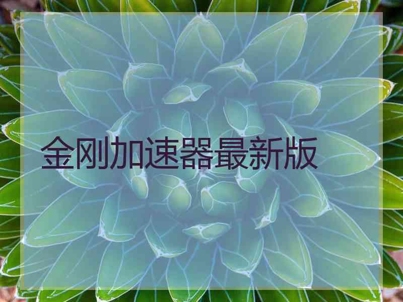 金刚加速器最新版