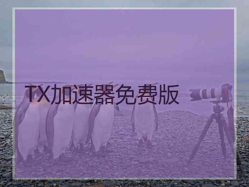 TX加速器免费版