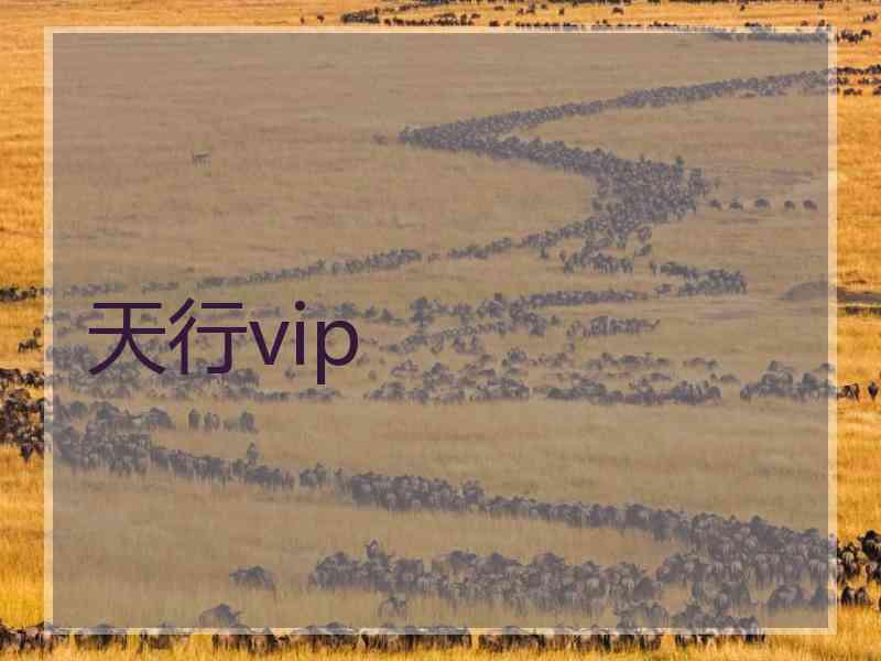 天行vip