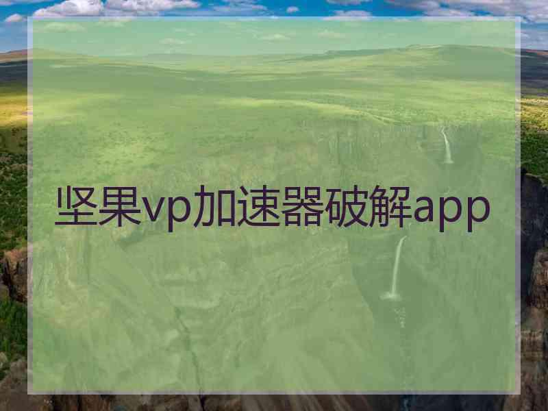 坚果vp加速器破解app