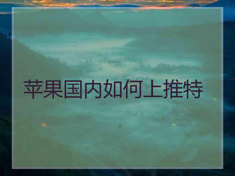 苹果国内如何上推特