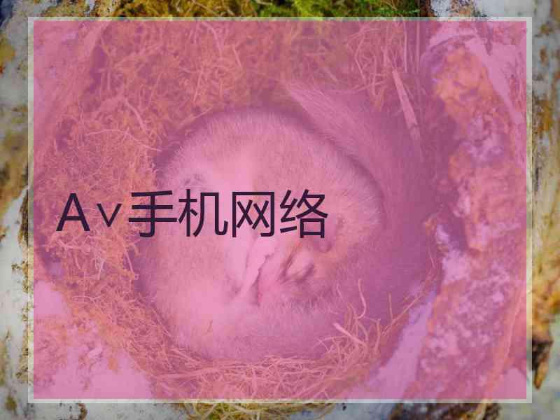 A∨手机网络
