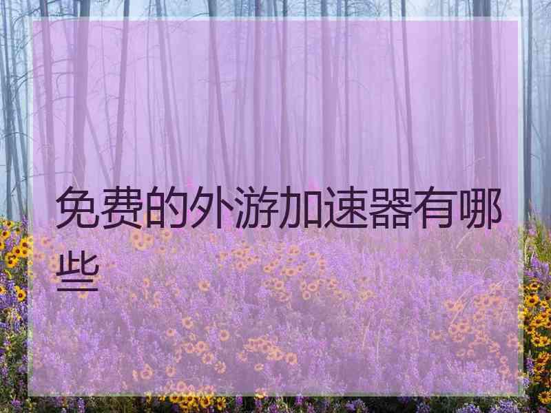 免费的外游加速器有哪些