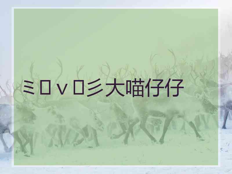 ミ๏ｖ๏彡大喵仔仔