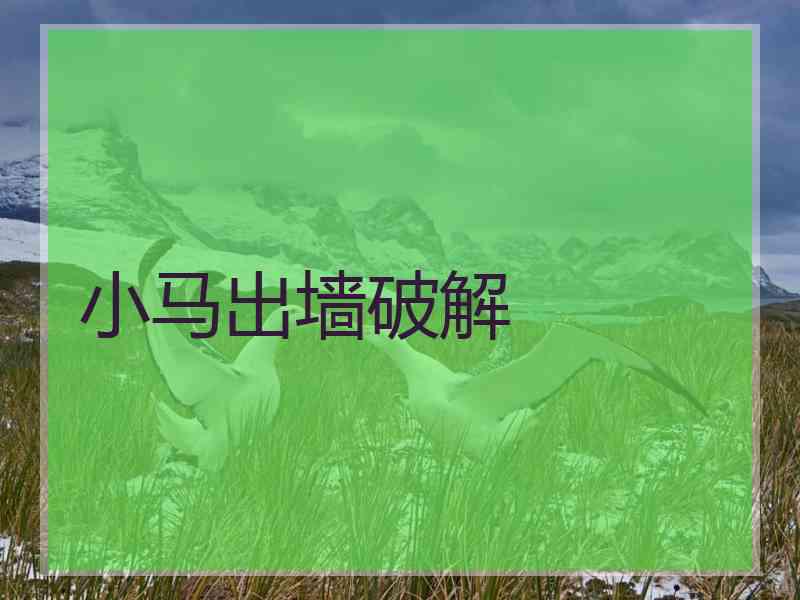 小马出墙破解