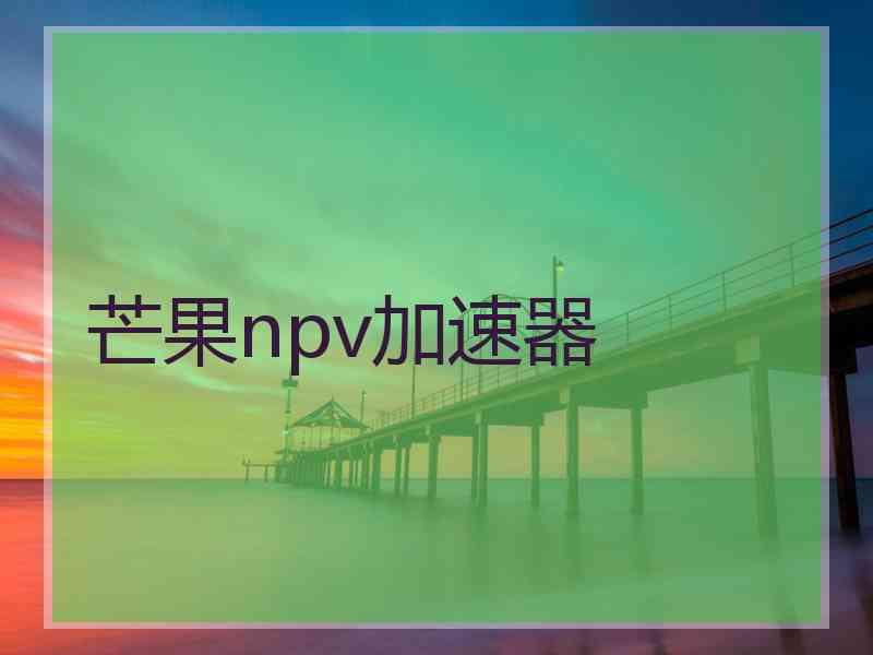 芒果npv加速器