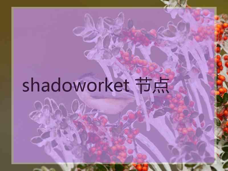 shadoworket 节点