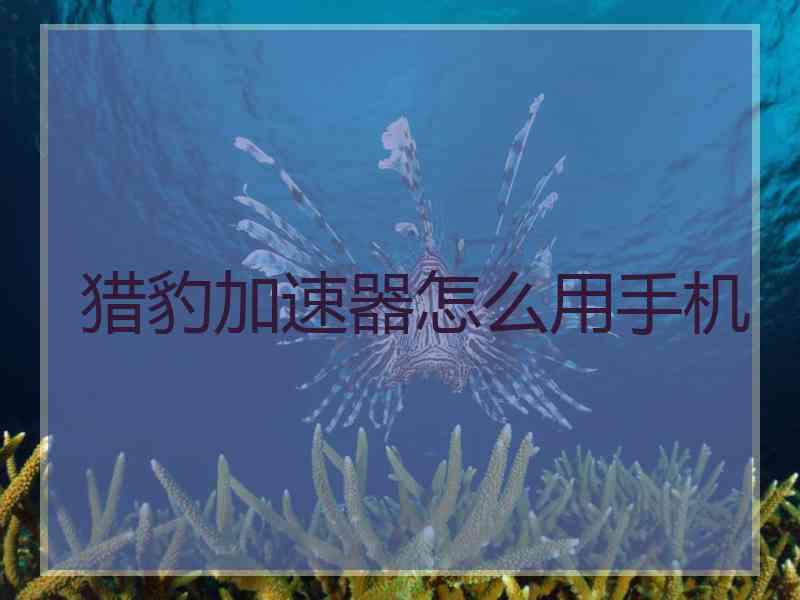猎豹加速器怎么用手机