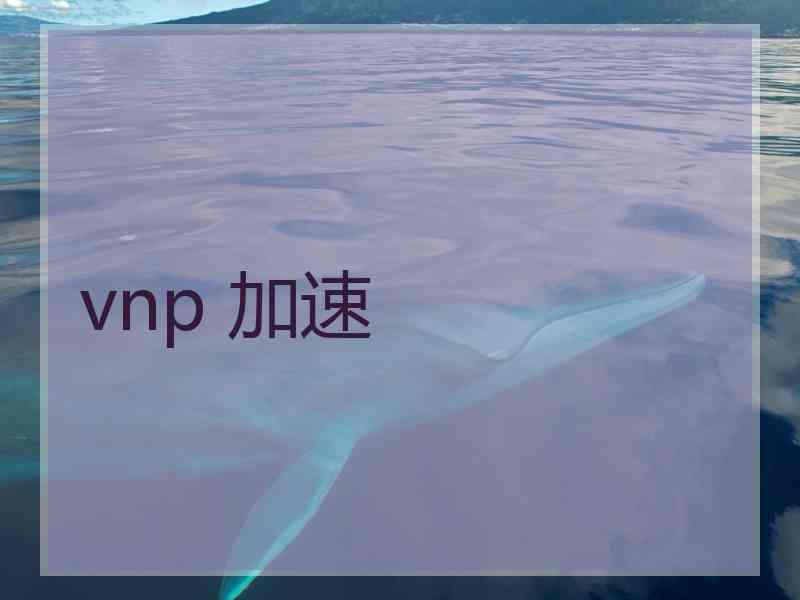 vnp 加速