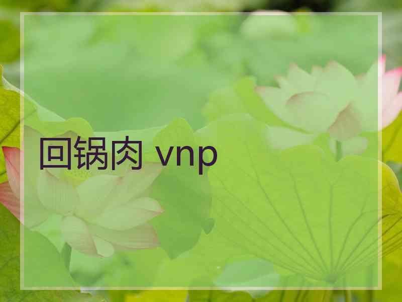 回锅肉 vnp