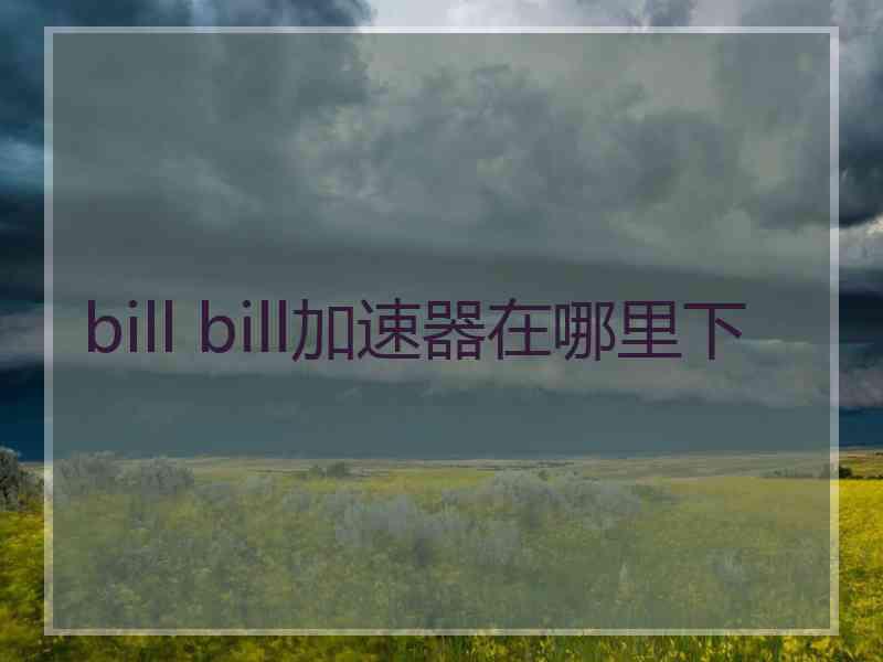 bill bill加速器在哪里下