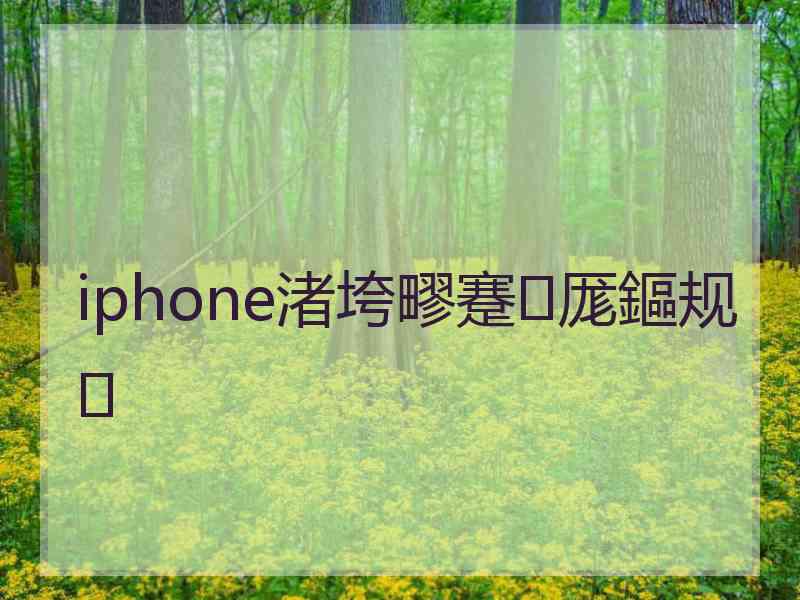 iphone渚垮疁蹇厖鏂规