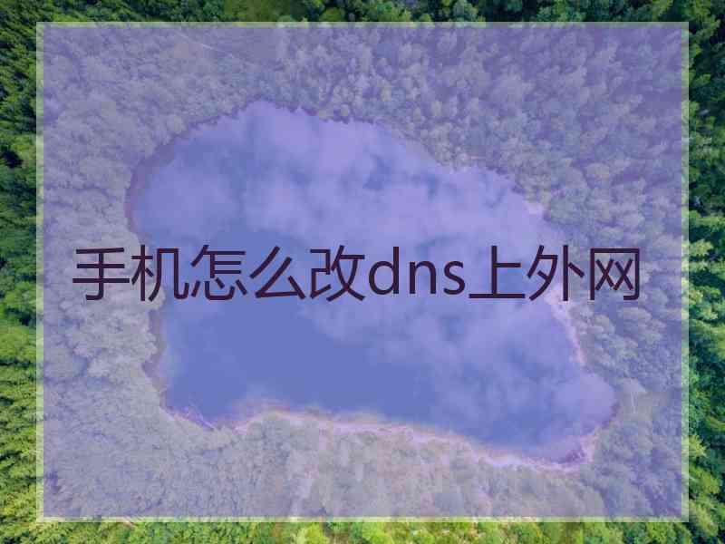 手机怎么改dns上外网