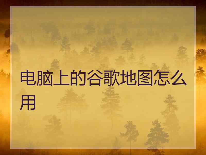电脑上的谷歌地图怎么用
