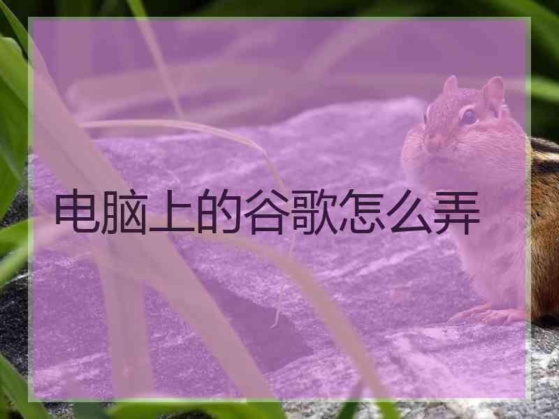 电脑上的谷歌怎么弄