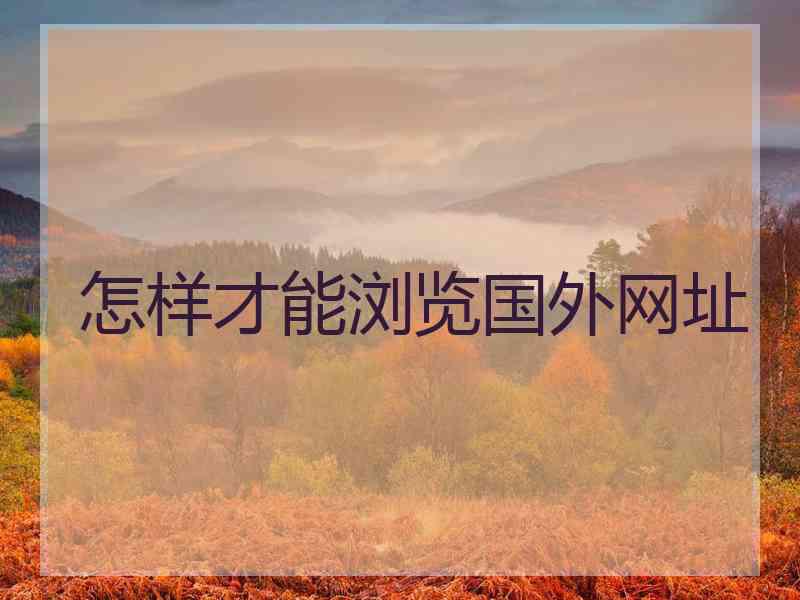 怎样才能浏览国外网址