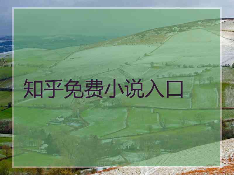 知乎免费小说入口