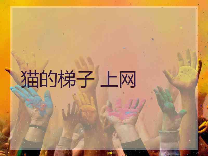 猫的梯子 上网