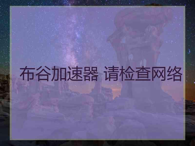 布谷加速器 请检查网络