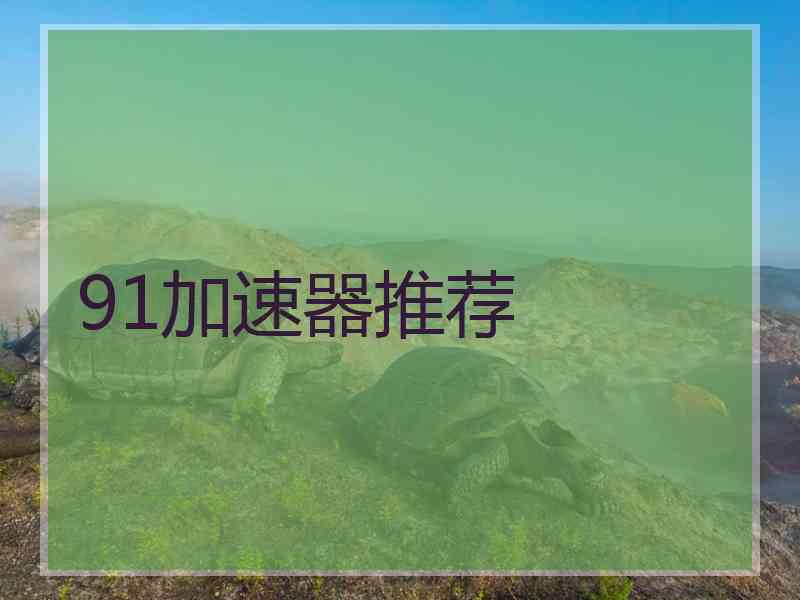 91加速器推荐