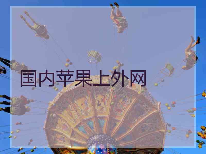 国内苹果上外网