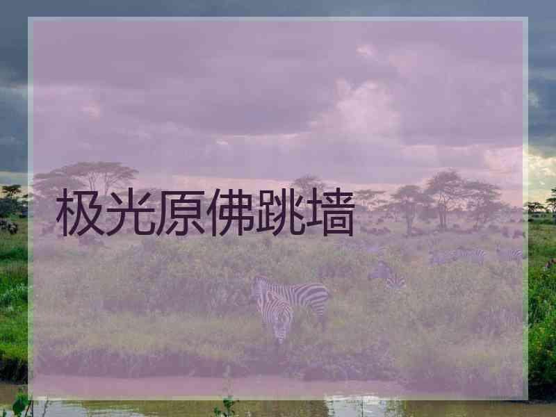 极光原佛跳墙