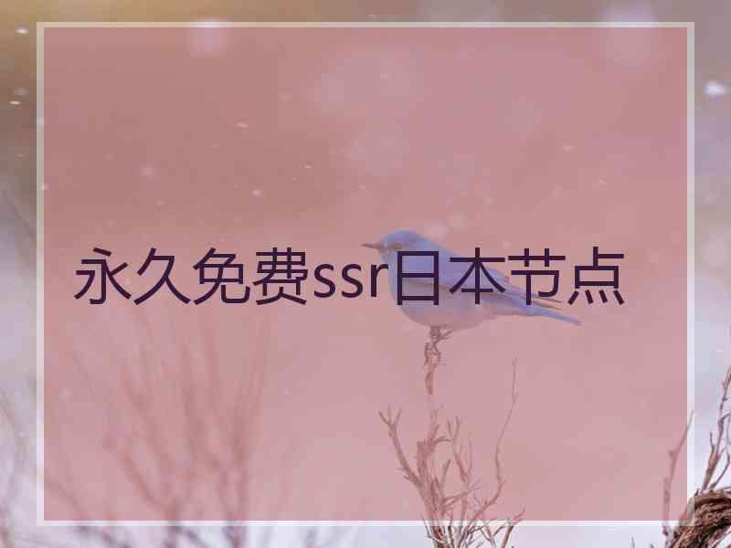 永久免费ssr日本节点