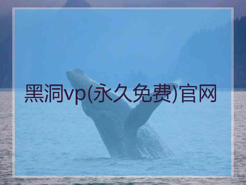 黑洞vp(永久免费)官网