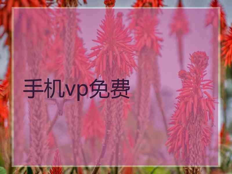 手机vp免费