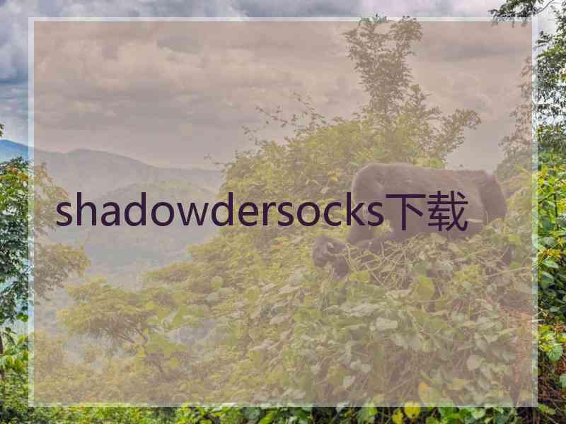 shadowdersocks下载