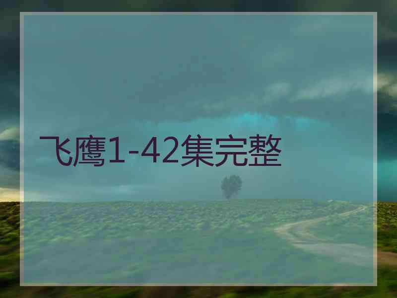 飞鹰1-42集完整