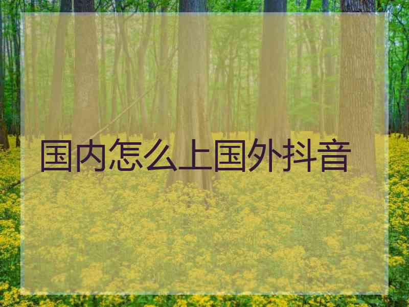 国内怎么上国外抖音