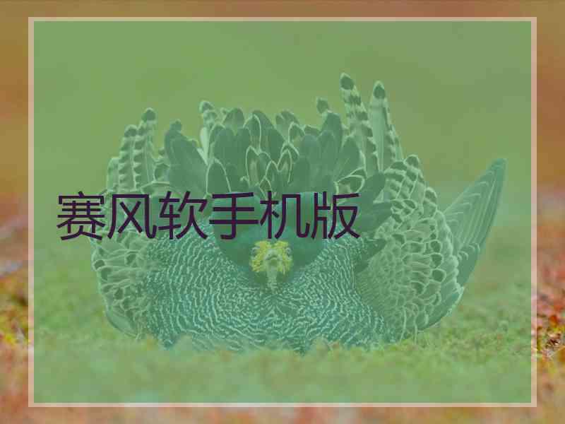 赛风软手机版