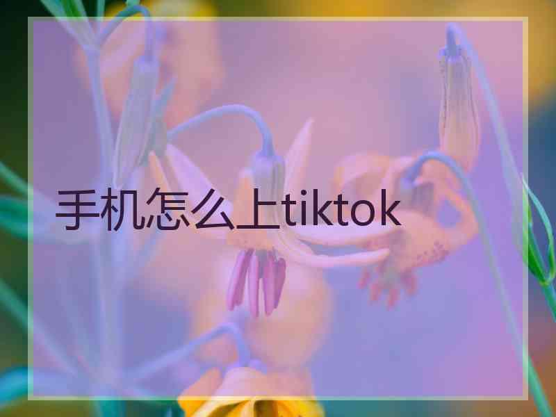 手机怎么上tiktok