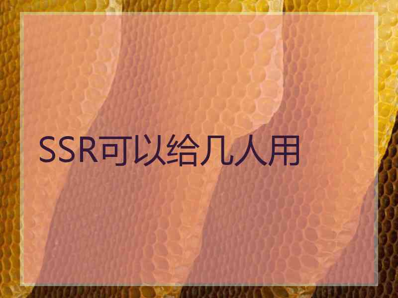SSR可以给几人用