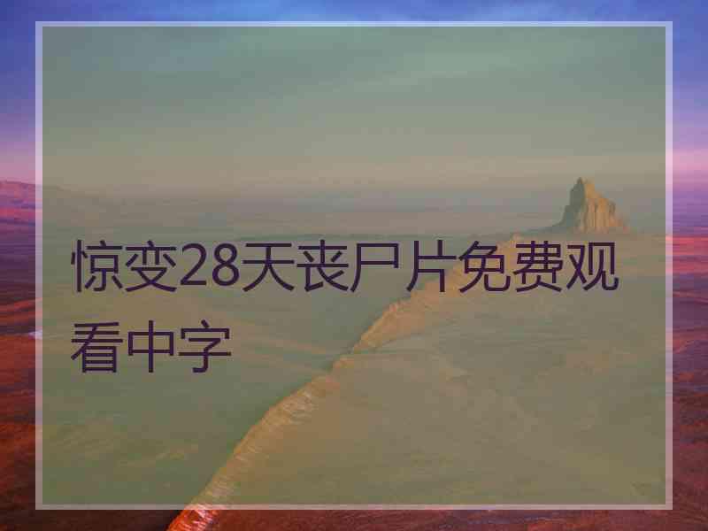 惊变28天丧尸片免费观看中字