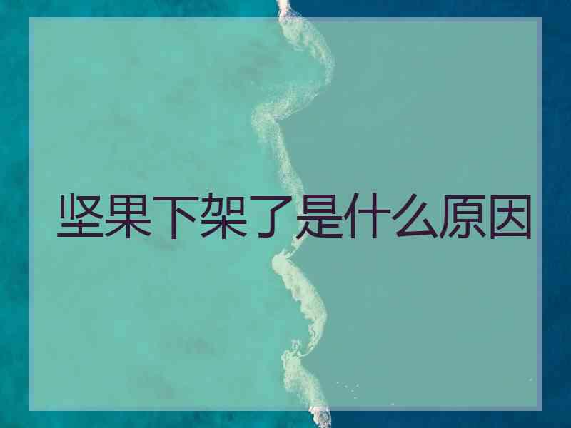 坚果下架了是什么原因