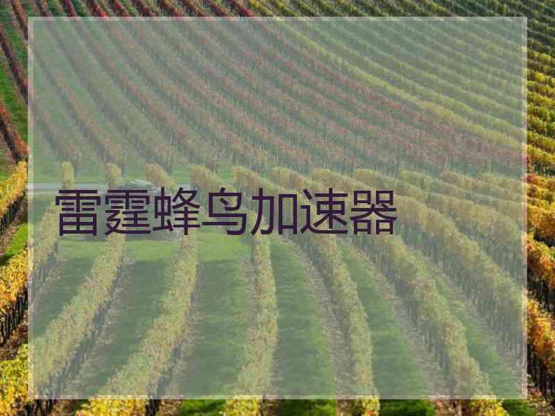 雷霆蜂鸟加速器